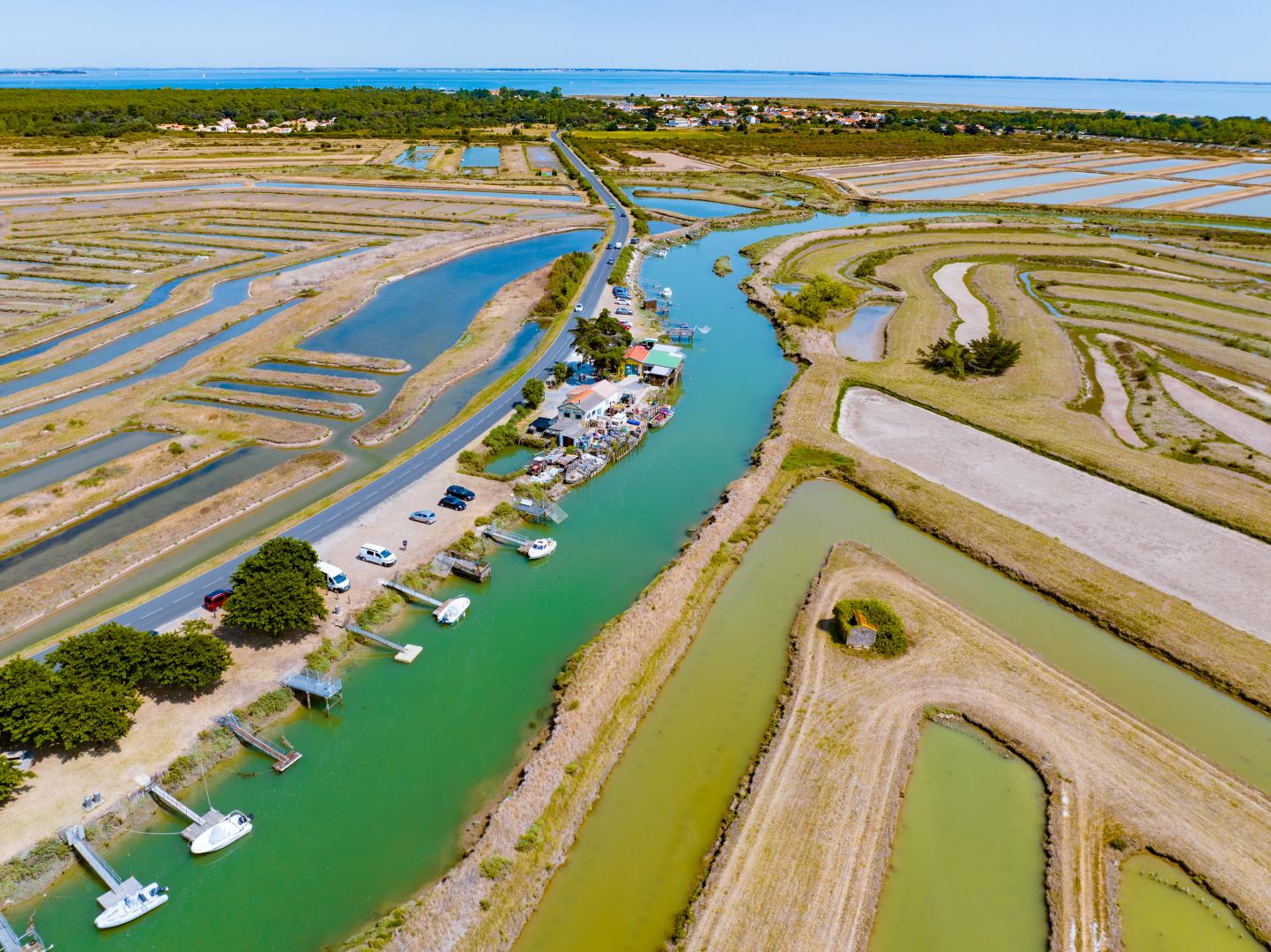 Marais de la Saurine, Saint georges d'Oléron