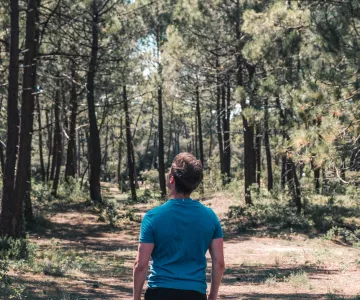 forêt