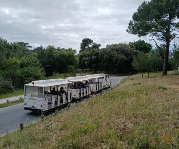 Le petit train des plages de Boyardville - @tiboSerre