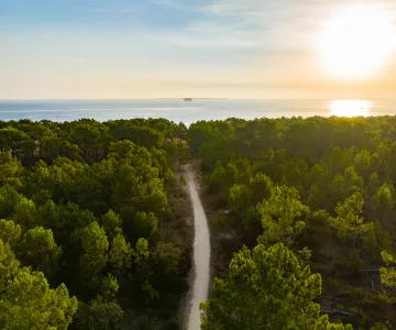 Forêt des Saumonards, Saint-Georges d'Oléron