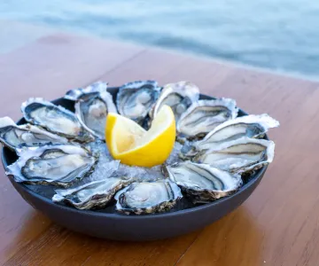 Bars à huîtres et fruits de mer