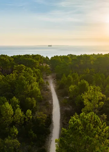 Forêt des Saumonards, Saint-Georges d'Oléron