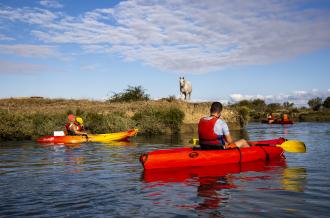 Kayak