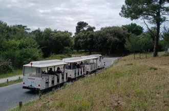 Le petit train des plages de Boyardville - @tiboSerre