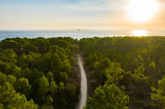 Forêt des Saumonards, Saint-Georges d'Oléron