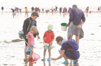 Pêche à pied