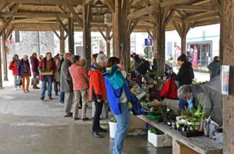 Bourse aux plantes d'Oléron_Saint-Georges-d'Oléron