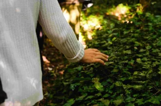 Expérience bain de forêt et concert de violoncelle