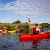 Kayak