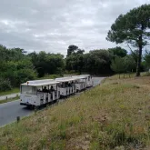 Le petit train des plages de Boyardville - @tiboSerre