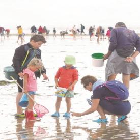 Pêche à pied