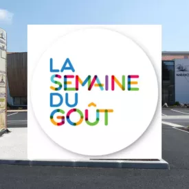 Atelier sensoriel à Médi@tlantique