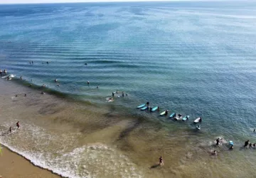 Pirate Surf School_Dolus-d'Oléron