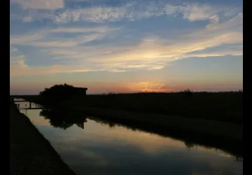 Reserve-Moeze-Oleron-LPO-Ambiance-au-crépuscule