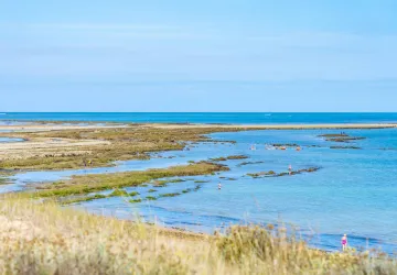 Plage de Chaucre_Saint-Georges-d'Oléron