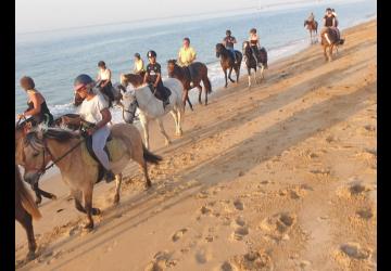 Les Cavaliers du Fort Boyard