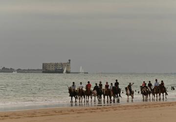 Les cavaliers du Fort Boyard