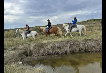 Les Cavaliers d'Oléron_Saint-Georges-d'Oléron