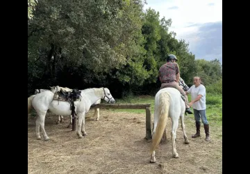 Les Cavaliers d'Oléron_Saint-Georges-d'Oléron