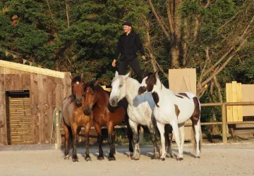Les Écuries De Laguivari_Saint-Georges-d'Oléron