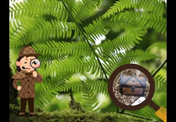 Enquête au Marais_Dolus-d'Oléron