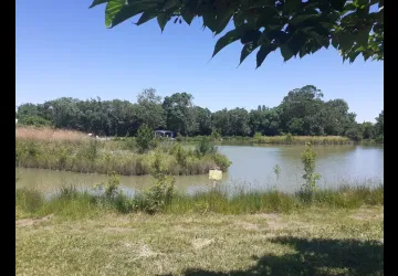 Étang des Prés Valet_Saint-Georges-d'Oléron