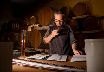 Vignoble Mage & Fils_Saint-Pierre-d'Oléron