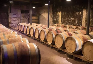 Soirée Beaujolais du Foyer de Domino Soirée Beaujolais du Foyer de Domino