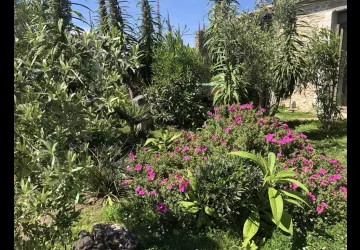 Les fleurs De Lys, Suite' appart  Lys Martagon_Saint-Georges-d'Oléron