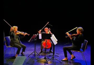 la cabane a musique
