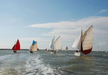 "Fleuves, Îles et Pertuis" : rassemblement de bateaux traditionnels_Saint-Denis-d'Oléron