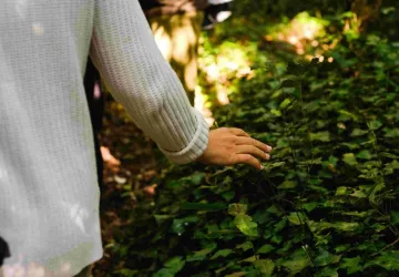 Expérience bain de forêt et concert de violoncelle