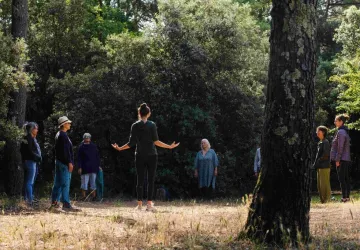 Expérience bain de forêt et concert de violoncelle